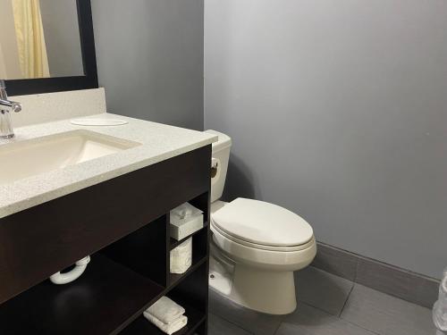 贝城Baymont by Wyndham Bay City的浴室配有白色卫生间和盥洗盆。