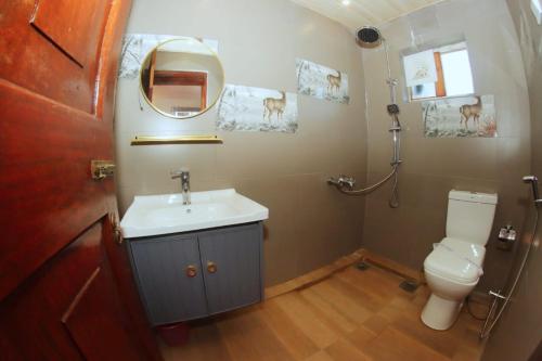 努沃勒埃利耶Heavenly Home Inn的一间带水槽、卫生间和镜子的浴室