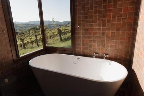 本图贡萨尔维斯Cabanas Vinsanto的带浴缸的浴室和窗户