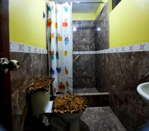 查查波亚斯Hostal Kollarón的带淋浴、卫生间和盥洗盆的浴室