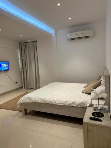 马斯喀特Kayan aprtment2的一间卧室配有一张床和一台电视。