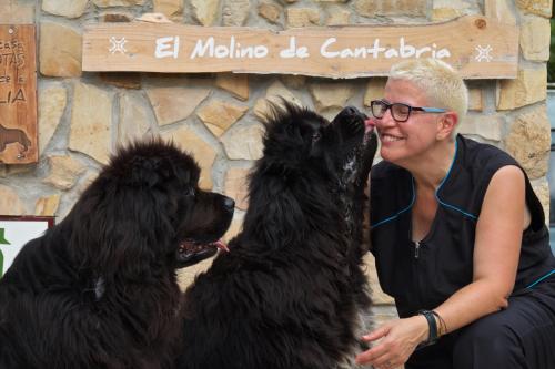 EntrambasaguasPosada Pet Friendly El Molino de Cantabria的坐在石墙前两只狗旁边的女人