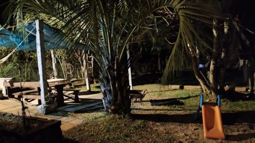 里韦拉Espacio Joseana的一个带棕榈树和滑梯的游乐场