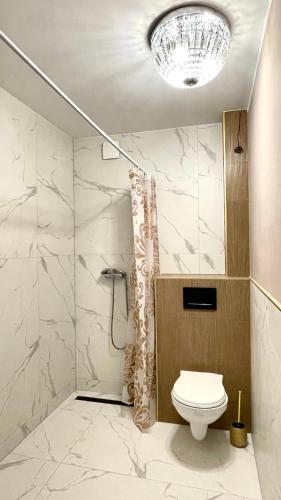 什切青Beautiful rooms in Szczecin - parking Gratis的一间带卫生间和淋浴的浴室