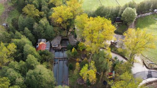 Leskovik法尔马索提拉农家乐的树木茂密的山丘上房屋的空中景观