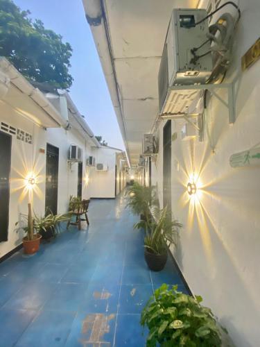 巴兰基亚HOTEL SANTA MONICA的带有盆栽植物和灯的建筑走廊
