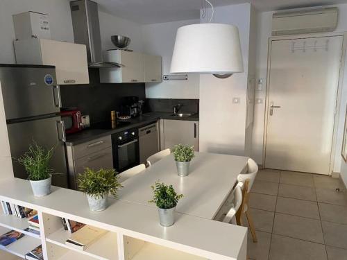 波克罗勒岛Appartement climatisé 50m2 centre du village的厨房配有带植物的白色桌子
