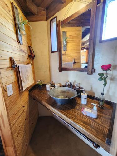 埃尔卡拉法特艾乐琛山林小屋的一间带水槽和镜子的浴室