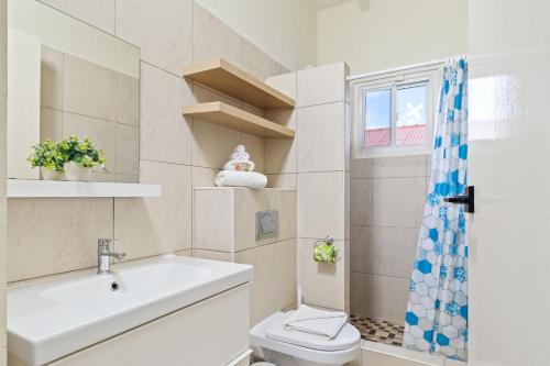 棕榈滩Beautiful and Spacious Mediterranean Style Villa on Palm Beach的一间带卫生间、水槽和窗户的浴室
