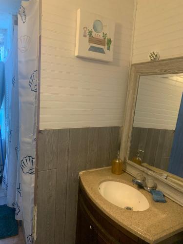 布鲁克林Misty Blue的一间带水槽和镜子的浴室