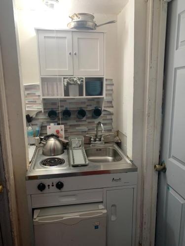 布鲁克林Misty Blue的小厨房配有炉灶和水槽