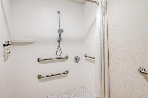 杰汉奈哥伦布机场智选假日套房酒店 的带淋浴和浴帘的浴室