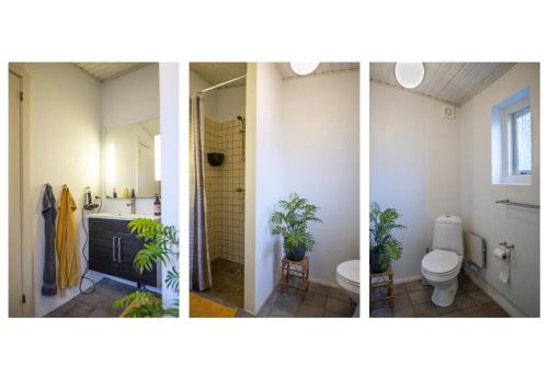 斯楚厄Cosy One Villa的三个照片,一个有植物的浴室