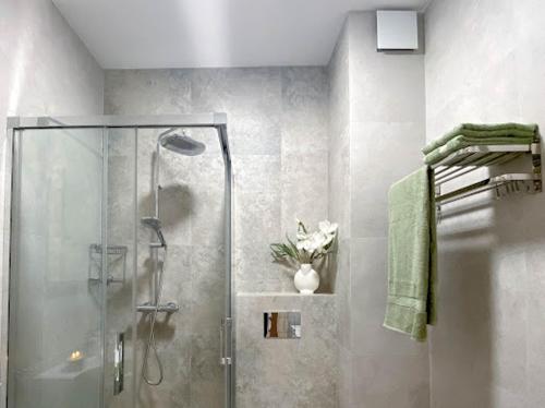 尤斯托尼莫斯基Apartament Morski Wiatr的浴室里设有玻璃门淋浴