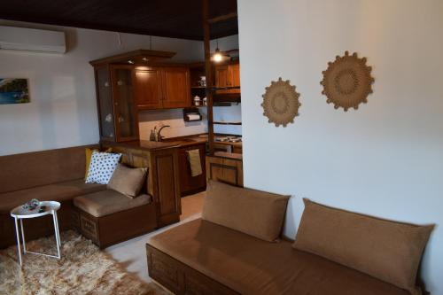 阿吉奥斯伊欧尼斯Alisaxni Seaside Studio的带沙发的客厅和厨房