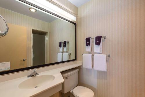 西雅图太空针塔西雅图旅程住宿酒店的一间带水槽、卫生间和镜子的浴室