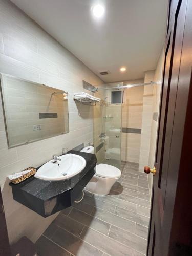 大叻Thanh Thanh Hotel的一间带水槽和卫生间的浴室