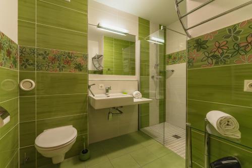 斯拉德明Appartements Tamino by Schladming-Appartements的浴室配有卫生间、盥洗盆和淋浴。
