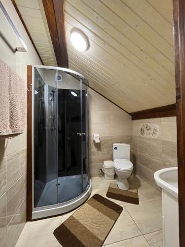 斯拉夫西克Котеджі Мелодія Карпат的一间带玻璃淋浴和卫生间的浴室