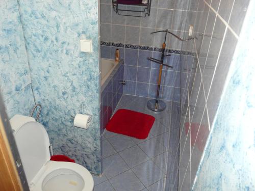 奥洛穆茨费亚卡公寓 的一间带卫生间和淋浴的小浴室