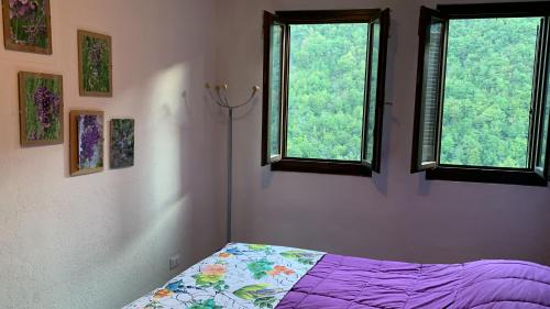 CarpasioLeo Anfosso的一间卧室设有2扇窗户和1张床铺