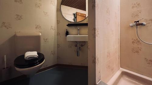 沃尔芬希森Alpina Einhorn - Self-Check-In的一间带卫生间、水槽和镜子的浴室