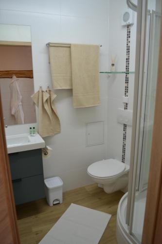 圣恩吉玛fewo-sporer的一间带卫生间和水槽的浴室
