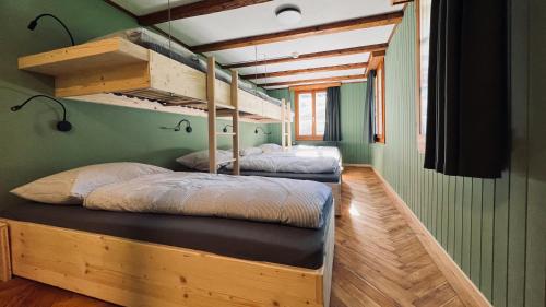 沃尔芬希森Alpina Einhorn - Self-Check-In的带两张双层床的绿色墙壁客房