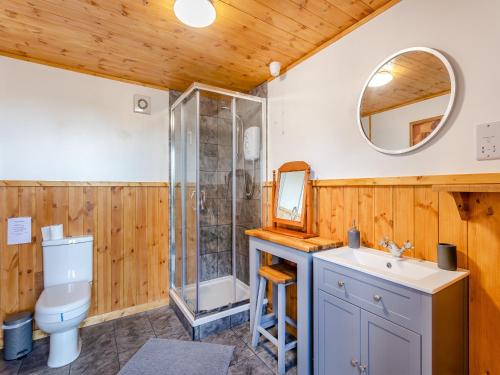 BrinkleyLion House- Uk45705的浴室配有卫生间水槽和淋浴。