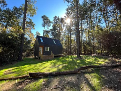 蒙哥马利Stay in Babia - Luxury Cabins - Sam Houston National Forest的树林中的小小屋,有草地庭院