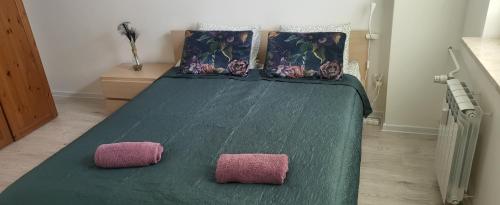 布斯克·兹德鲁伊Apartament Busko-Zdrój - Zosia的一张绿色的床,上面有两个粉红色的枕头