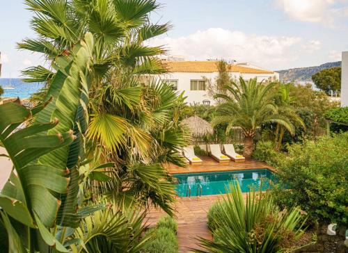 埃斯卡洛Es Caló Luxe - Formentera Break的一个带游泳池和棕榈树的度假村