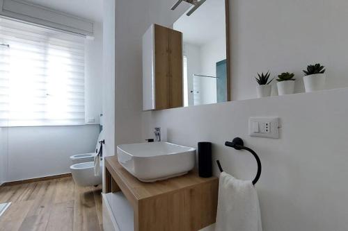 洛韦雷appartamento Enrica的一间带水槽、卫生间和镜子的浴室