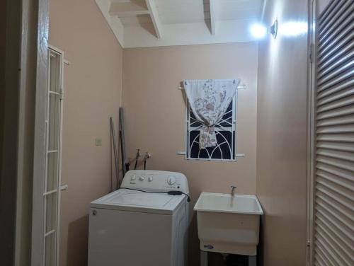 圣安斯贝La Palmera的小型浴室设有洗衣机和水槽。