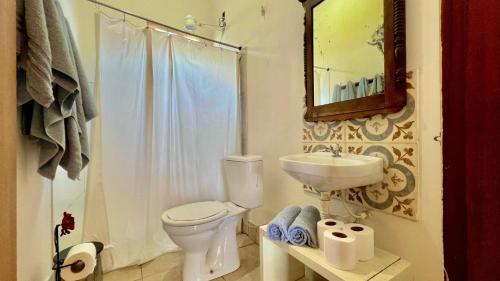 帕拉蒂Canto do Jão的一间带卫生间、水槽和镜子的浴室