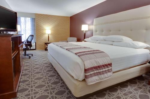 欧弗兰帕克欧弗兰帕克德鲁里套房酒店 的一间酒店客房,配有一张大床和一台平面电视