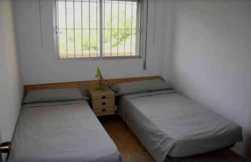 圣卡洛斯拉腊皮塔Apartamento 1ª linea de mar的小型客房 - 带2张床和窗户