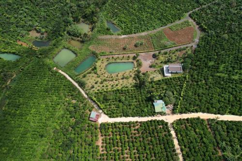 Di LinhGao Homestay的享有公园的空中景致,公园内有池塘和树木