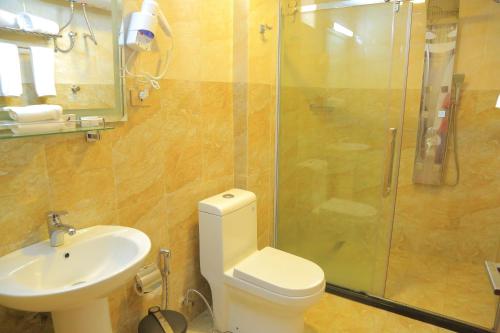 亚的斯亚贝巴Black Horse Hotel的浴室配有卫生间、盥洗盆和淋浴。