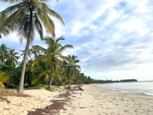 Ushongo MabaoniOcean Dream Villa的棕榈树海滩和海洋
