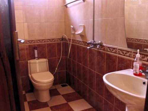 阿鲁沙Nareto House的一间带卫生间和水槽的浴室