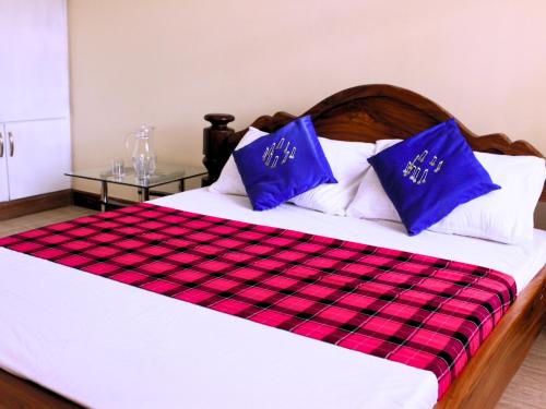 阿鲁沙Nareto House的一间卧室配有一张带蓝色枕头的床。