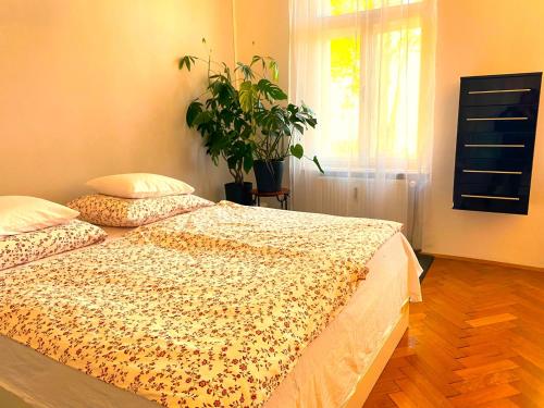 Free Parking - Premium Bed - Modern Kitchen的一间卧室,配有一张带植物和窗户的床