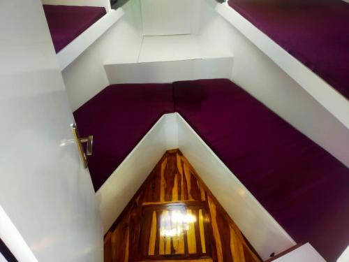 赫尔格达tiger的阁楼间设有紫色地板和木门