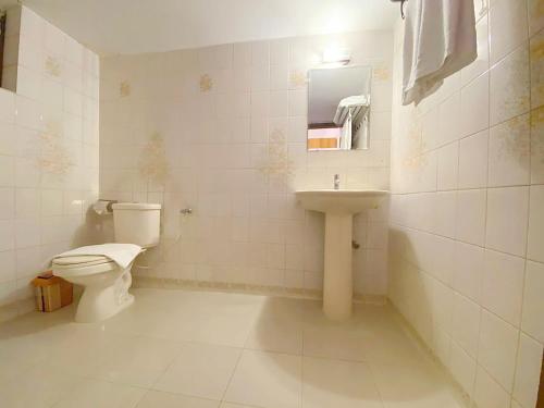达卡Crown Palace Residence的白色的浴室设有卫生间和水槽。