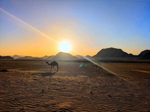 瓦迪拉姆Shahrazad desert, Wadi Rum的相册照片