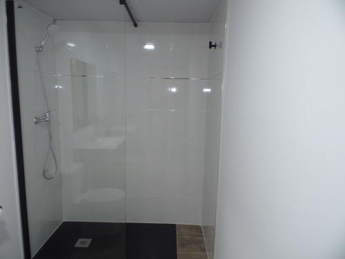 马拉加Apartamento Buen Dia airport Malaga- playa-Torremolinos的浴室里设有玻璃门淋浴