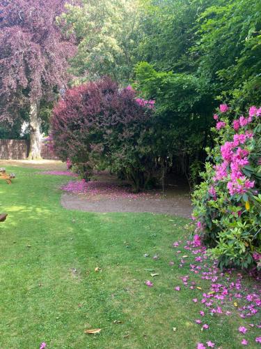 因弗鲁里Bennachie Lodge Hotel in Kemnay的草上种着粉红色花的花园