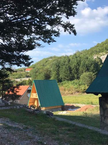 采蒂涅Nice&cosy cabin的田野上带绿色屋顶的房子