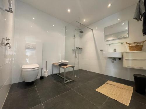 斯内克Unieke loft uitzicht water的带淋浴、卫生间和盥洗盆的浴室